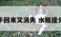 水瓶座分手回来又消失 水瓶座分手还找你