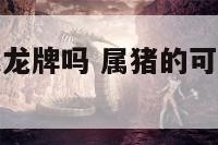 属猪的可以戴龙牌吗 属猪的可以戴龙牌吗女生
