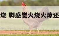脚感觉被火烧 脚感觉火烧火燎还麻是怎么回事