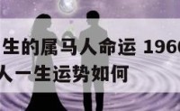 1966出生的属马人命运 1966年出生的属马人一生运势如何