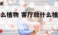 客厅可放什么植物 客厅放什么植物最好招财又好养