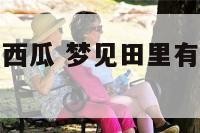 梦见田地理有西瓜 梦见田里有西瓜是什么意思