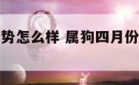 属狗4月运势怎么样 属狗四月份运势如何2021