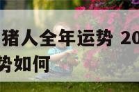 2015年属猪人全年运势 2015年属猪人全年运势如何