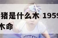 1959年属猪是什么木 1959年属猪是火命还是木命