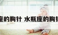 水瓶座的胸针 水瓶座的胸针图片