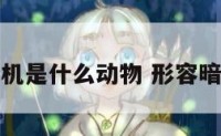 暗藏危机是什么动物 形容暗藏危机