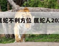 2019属蛇不利方位 属蛇人2021年吉利方位