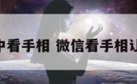 微信中看手相 微信看手相让给66