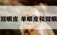 手相看单双眼皮 单眼皮和双眼皮的运势