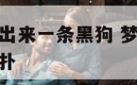 梦见身体里跳出来一条黑狗 梦见一只黑色大狗往自己身上扑