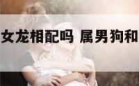 属男狗和属女龙相配吗 属男狗和属女龙相配吗好吗