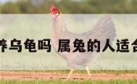 属兔可以养乌龟吗 属兔的人适合养乌龟吗