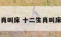 十二生肖叫床 十二生肖叫床的动物