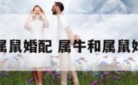 属牛和属鼠婚配 属牛和属鼠婚配好吗