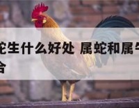 属牛和属蛇生什么好处 属蛇和属牛生什么属相的宝宝合