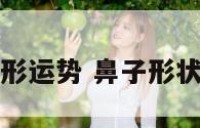 鼻子外形运势 鼻子形状看财运