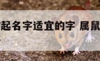 属鼠的宝宝起名字适宜的字 属鼠的宝宝取名用什么字好