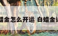 白蜡金怎么开运 白蜡金详解