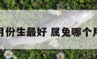 属兔什么月份生最好 属兔哪个月出生最好