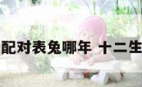 十二生肖配对表兔哪年 十二生肖兔对应