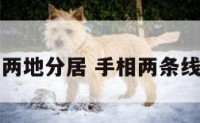手相两地分居 手相两条线分开