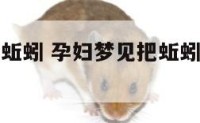 孕妇梦见杀蚯蚓 孕妇梦见把蚯蚓一节一节打断