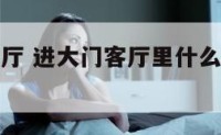 进大门对客厅 进大门客厅里什么树对着大门最好