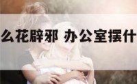 办公室摆什么花辟邪 办公室摆什么花辟邪镇宅