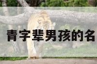 上青男孩名字 青字辈男孩的名字取什么好听