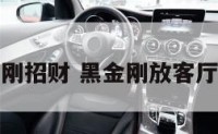 黑金刚招财 黑金刚放客厅招财