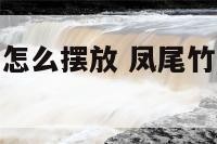 凤尾竹办公室怎么摆放 凤尾竹风水室内摆放禁忌