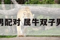 属牛双子男配对 属牛双子男的爱情观