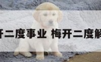 解签梅开二度事业 梅开二度解签 运气