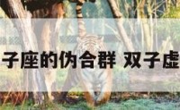 双子座的伪合群 双子虚伪