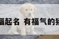 猪宝宝用福起名 有福气的猪宝宝名字