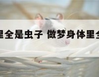 做梦身体里全是虫子 做梦身体里全是虫子在爬