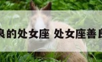 心地最善良的处女座 处女座善良还是恶毒