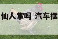 汽车摆件能放仙人掌吗 汽车摆件能放仙人掌吗图片