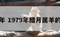 属猪是那年 1979年腊月属羊的人什么命