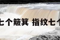 手相七个簸箕 指纹七个簸箕