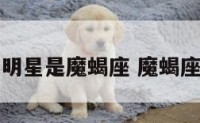 有哪些男明星是魔蝎座 魔蝎座的男明星