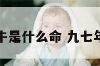 一九九七属牛是什么命 九七年属牛是啥命