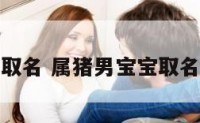 属猪男宝宝取名 属猪男宝宝取名王英新寓意
