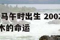 2002年属马午时出生 2002年属马午时出生缺木的命运