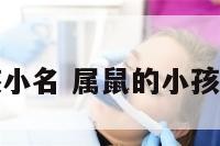 属鼠的小孩小名 属鼠的小孩小名叫什么