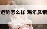 鸡年属猪的运势怎么样 鸡年属猪人的运势如何