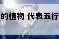 代表五行中土的植物 代表五行中土的植物是什么