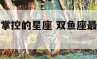 双鱼座最易掌控的星座 双鱼座最拿手的是什么