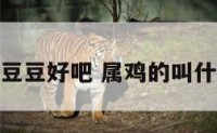 属鸡的叫豆豆好吧 属鸡的叫什么小名好